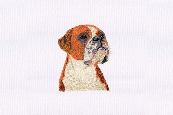 A Designer's Review of the Staffordshire Face Embroidery