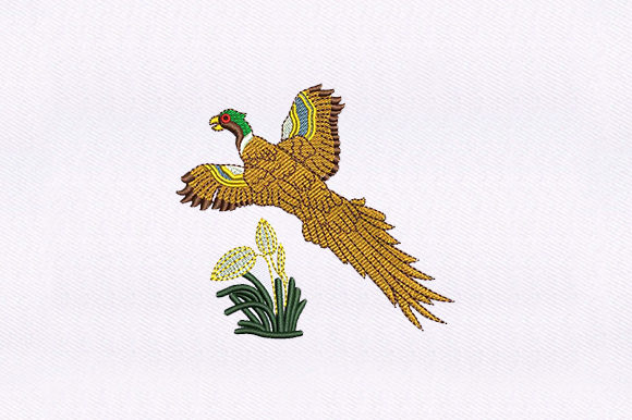 A Practical Designer's Review of the Flying Macaw Parrot Embroidery
