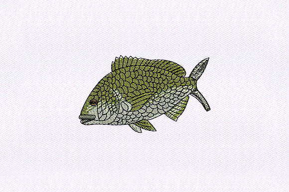 A Professional Review of the Green Fish Embroidery Design