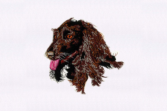 Afghan Hound Face: A Regal Embroidery for Special Keepsakes