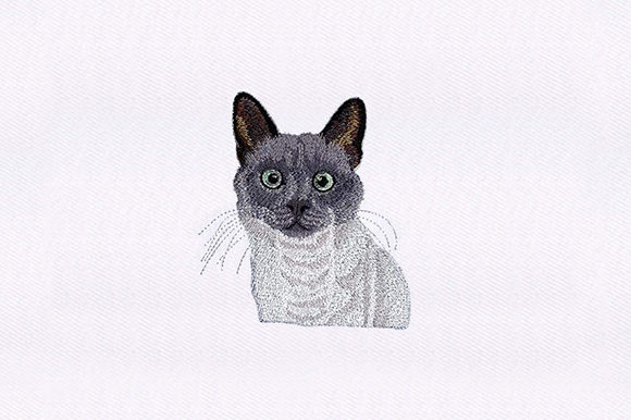 Balinese Cat: An Embroidery Designer's Honest Review