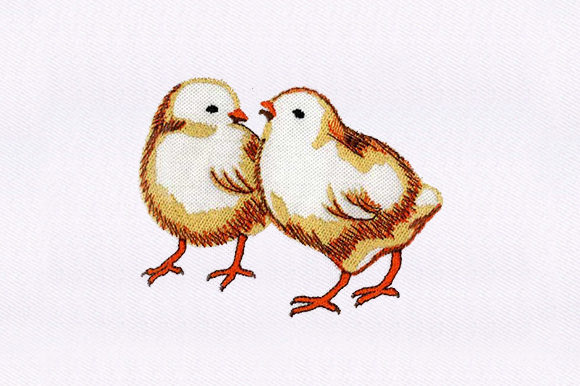 Chicks Chicken: A Designer's Review for Seasonal Success