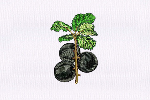 Craft Fair Product Review: The Black Cherry Vines Embroidery